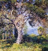 Guy Rose The Oak oil